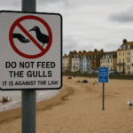 Oxfordshire Road Disruptions Derail Summer Itinerary