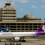Air New Zealand Appoints Nikhil Ravishankar as CEO, Ushering in Digital Innovation and Tourism Growth