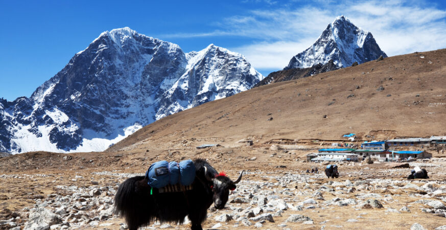 Bukipatan Nepal