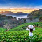 Are You Ready to Jet-Set with Your Little One? How I Travel with a Baby Like a Pro