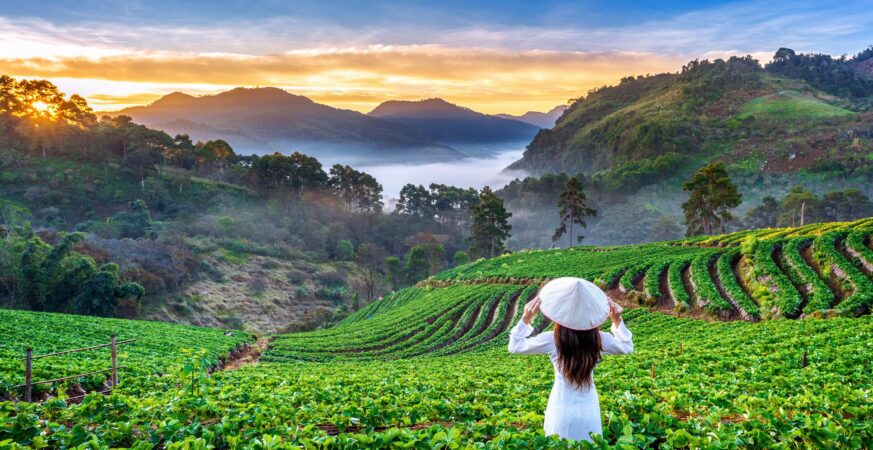 Vietnam