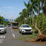 Sarawak Culture and Nature in the UK