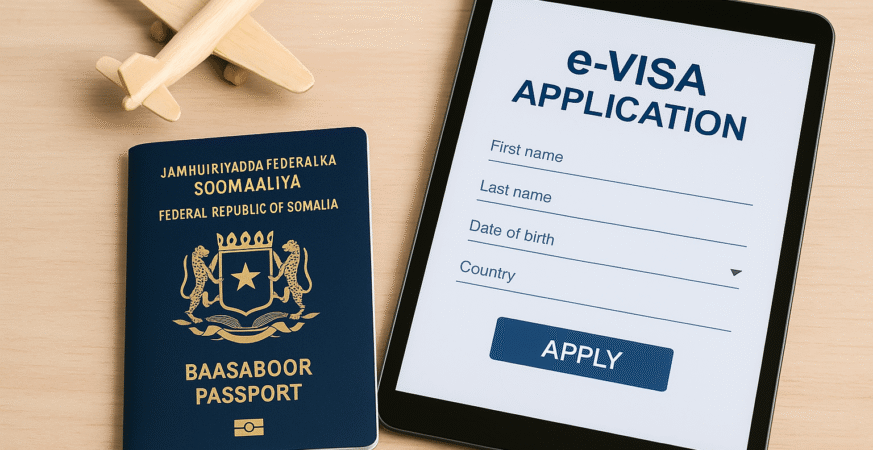 e-visa