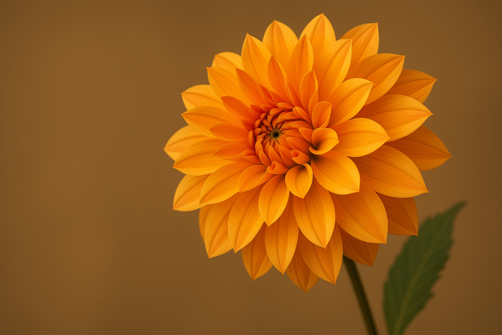 Thailand Emerges as Global Creative Hub