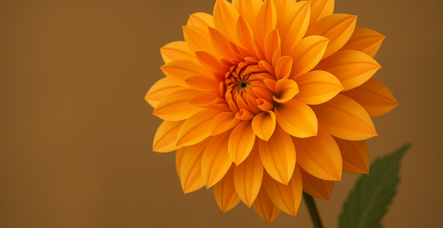 Thailand Emerges as Global Creative Hub