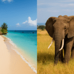 UAE Launches Landmark UAE-Africa Tourism Investment Summit at FHS World to Ignite Hospitality Growth