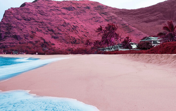 Why Bermuda’s Pink Sand Beaches and Shipwrecks Should Be on Your Winter Travel List: The Ultimate Guide to Bermuda