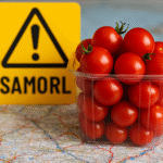 UK Issues Late Summer Travel Warnings: What Tourists Need to Know Before Traveling Abroad