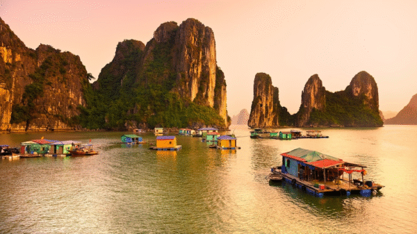 Tourism Surge