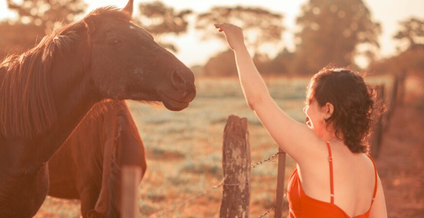agritourism