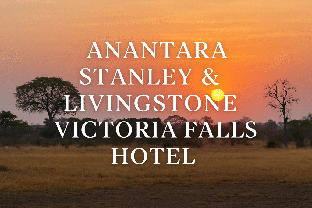 black rhino conservation