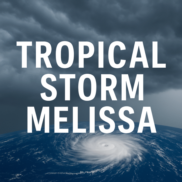 Global Travellers Alert