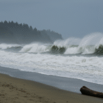 Royal Caribbean’s Star of the Seas Launches a New Era of Sustainable Luxury Cruising