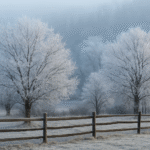 Branson Beach Estate on Moskito Island Becomes Pinnacle of Ultra-Luxury Travel in 2025