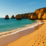 Now Disney Discovery Reef to Transform Changi Airport Into a Dazzling Disney Wonderland for 2025 Year-End Festive Celebrations