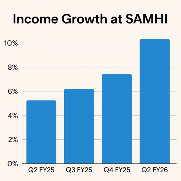 India’s Domestic Travel
