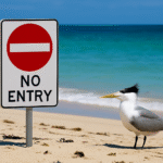 Indian Railways Launches Emergency Assistance Counters at Ahmedabad and Patna Airports Amid IndiGo Flight Cancellations