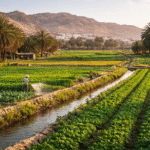 Thailand Confirms Safe and Seamless Tourism Nationwide Despite Heightened Border Security