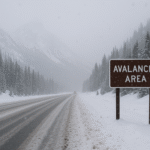 EES Biometric Checks Create Long Waits at Schengen Borders