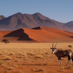 Experience the Magic of San Marino’s Christmas Markets Amidst Medieval Charm