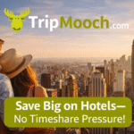 Spain Unveils Nationwide Climate Shelter Network to Protect Residents and Tourists From Intensifying Heatwaves