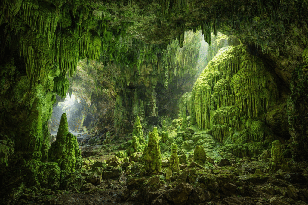 Kanger Valley Unveils the Green Cave India’s New Eco-Tourism Marvel Hidden Beneath Chhattisgarh’s Forests
