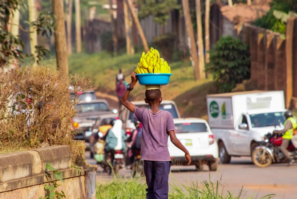 Coordinated Global Health Surveillance Active