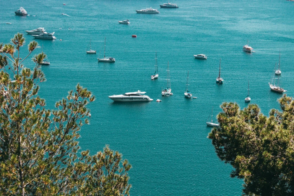 Turquoise sea with numerous anchored boats and sailboats, viewed from among pine branches in the foreground.