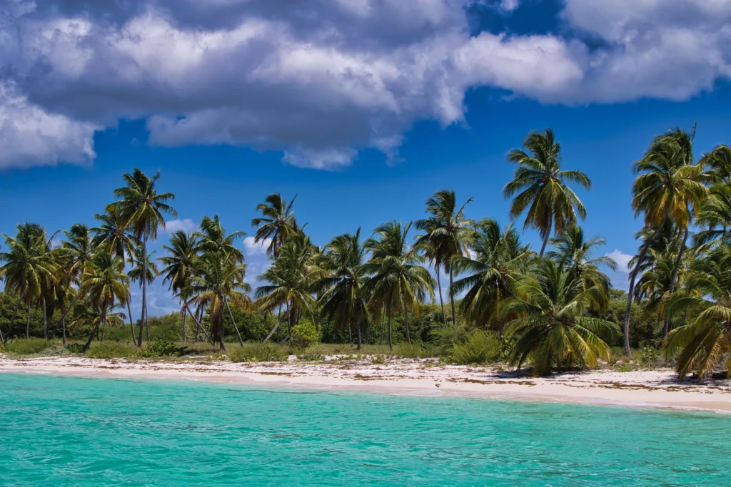 Runway in Paradise