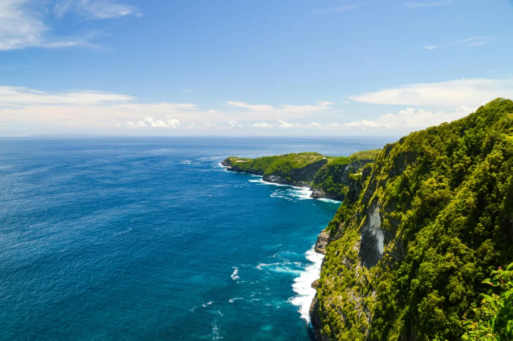 Coastal cliffs covered in green vegetation rise from blue ocean under a clear sky.