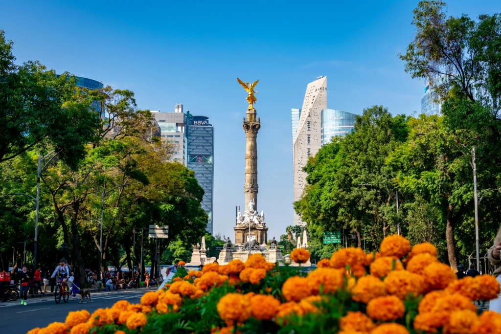 Angel of Independence monument on Paseo de la Reforma, with a golden statue atop a tall column, framed by trees and orange flowers in the foreground.