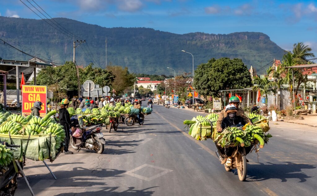 Vietnam Sustainable Aviation Fuel