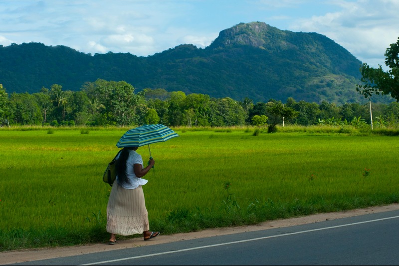 Sri Lanka tourism