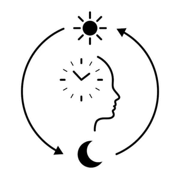 Project Sunrise