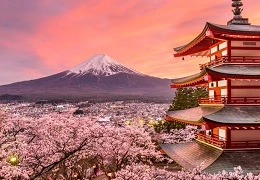 International Travel