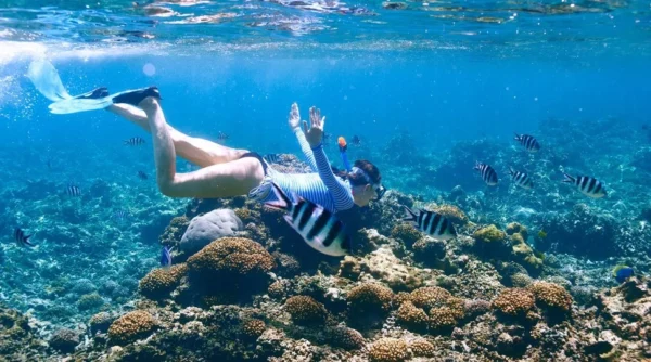 Marine Conservation