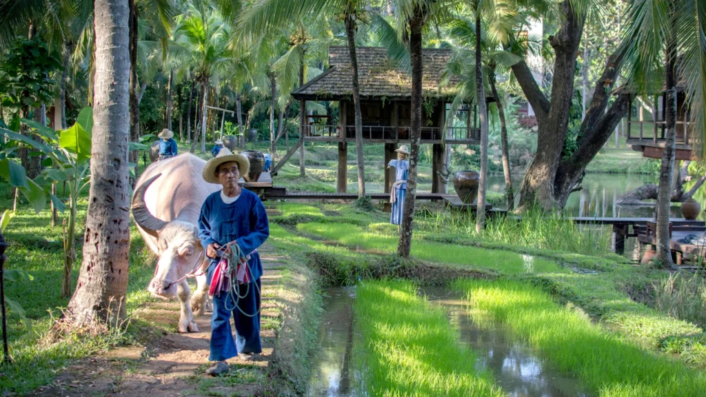 Thailand