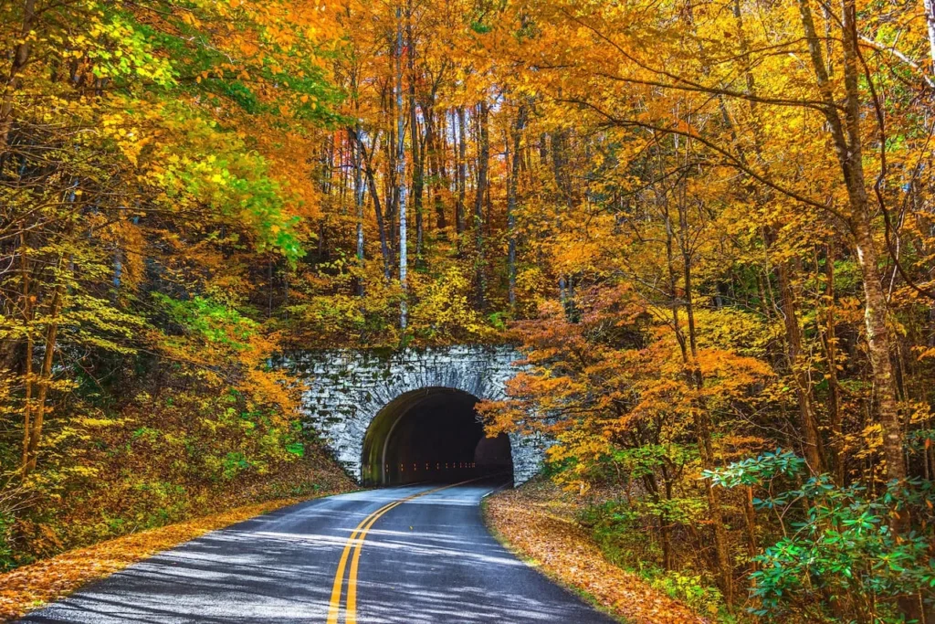 Maine Tourism