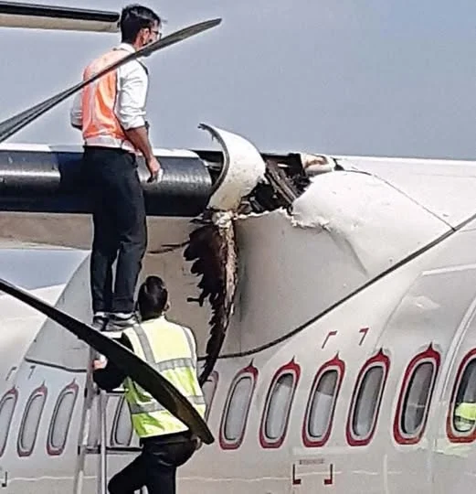 Aviation Safety