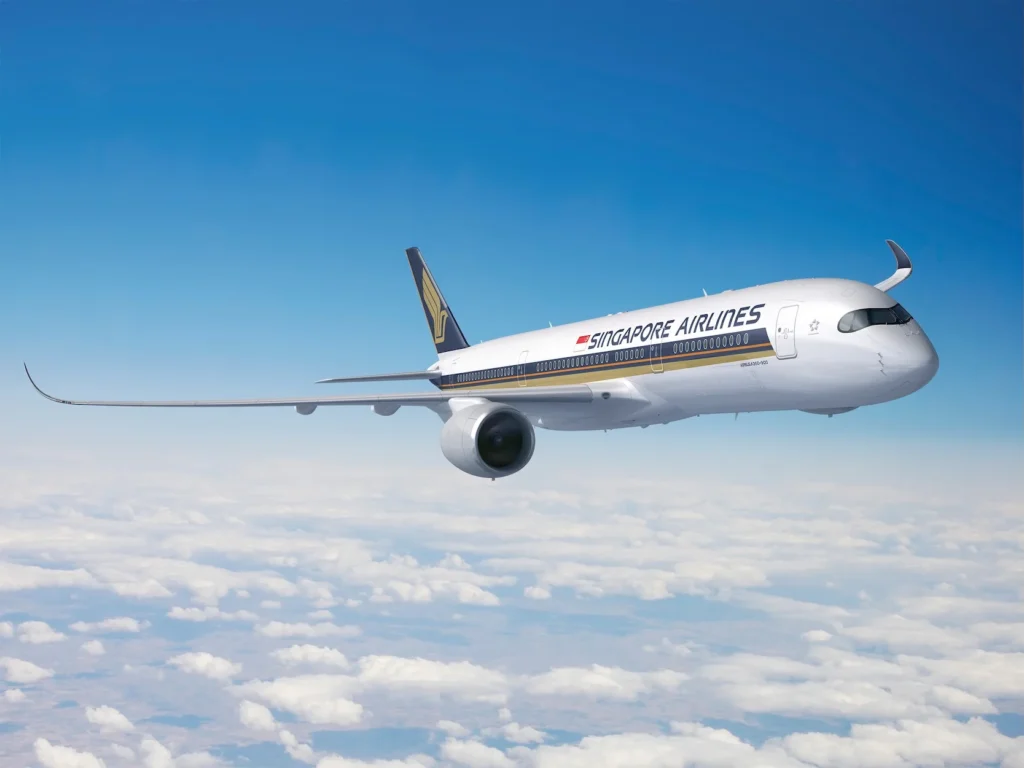 Airline Fees